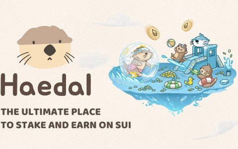 介绍 Haedal Hae3：Sui 生态的流动性质协议，重塑 LSD 和 DAO 的辉煌
