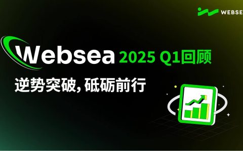 Websea 2025 Q1逆勢增長：四大板塊亮眼表現(xiàn)解析