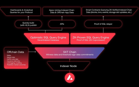 Avalanche C鏈穩(wěn)賺攻略：聰明資金如何逆勢布局穩(wěn)定收益