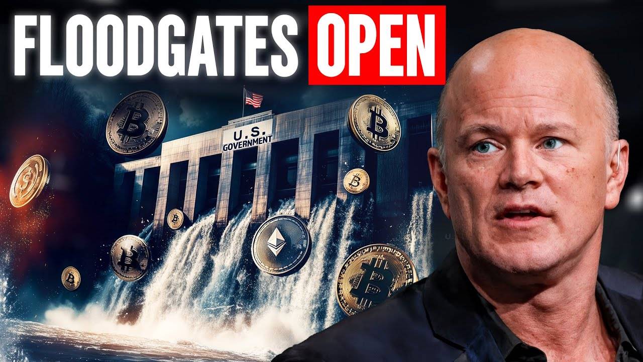 Galaxy创始人Mike Novogratz：比特币上涨与股票代币化将重塑金融界